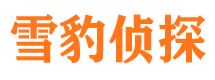 仁布外遇调查取证